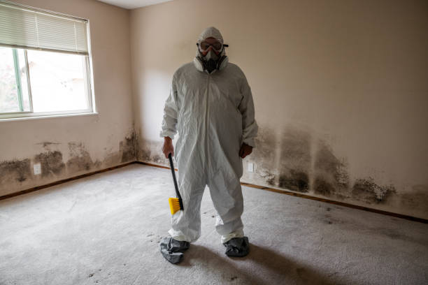 Best Commercial Mold Remediation in Florence, MS